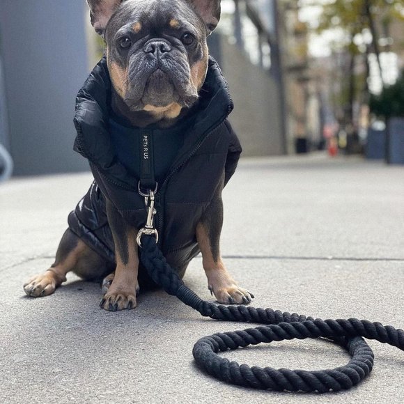 PETsRUS 5ft Leather Dog Leash Braided Cotton Rope Durable Handcrafted Hand Dye - Picture 2 of 4